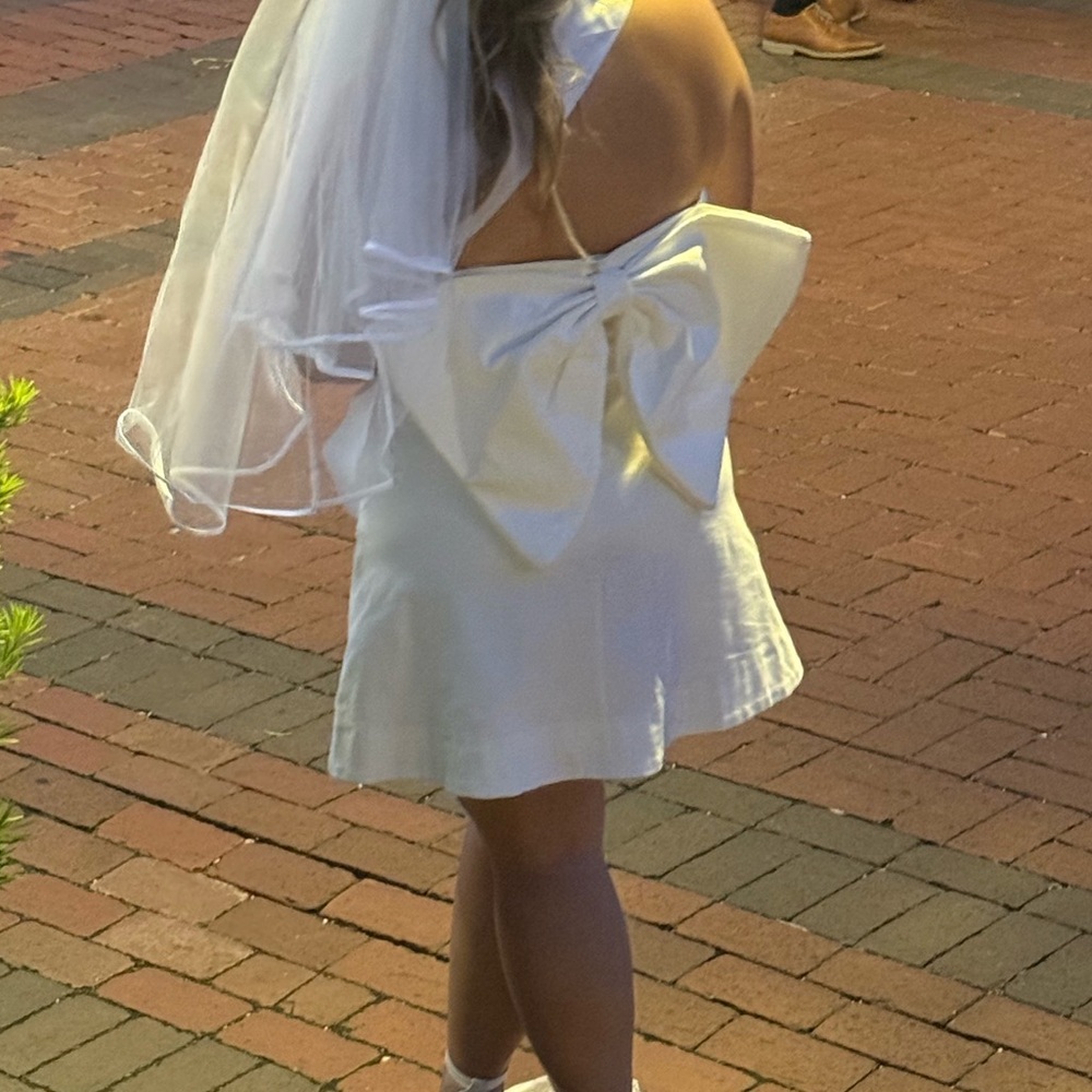 White Dress with Bow and Veil